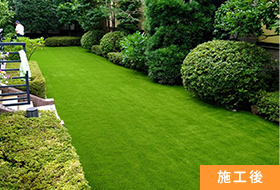 世田谷区成城　個人邸のお庭に景観芝を施工